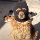 直接说事，我在。