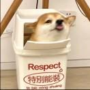 鹤꫞