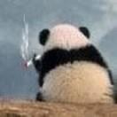 ༺༒༻