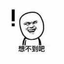龙
