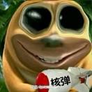 User471170215
