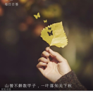 偶滴瞌睡虫