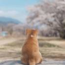 。