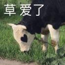 咸鱼加盐