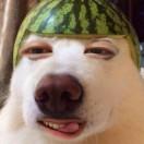 LICHITO