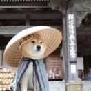 巧克力