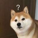 遂