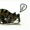 K~