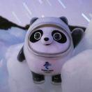 （　　　　　　　　）