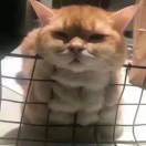 :-O