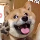 许Tom