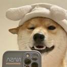 纪年
