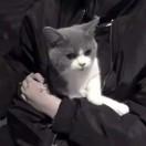 自渡🐾