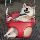 来年岁月，不移真心