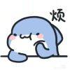 小鲨鱼