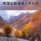 阳咩。