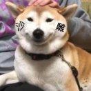 DKsnte