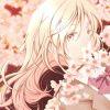 ⚘夕桜ﻬ