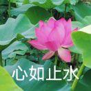 刘雨桐