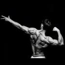 观·健身运动学院·陈树宇