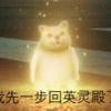 追风的少年
