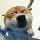 hhhjsjdk