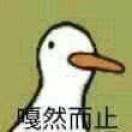1+1=鸭
