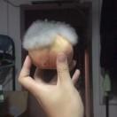 岁岁年年人不同