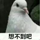 不会起名