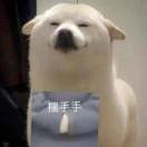 、梦依旧还在