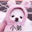 九日