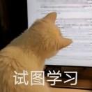 雪里清