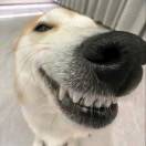 过分了啊