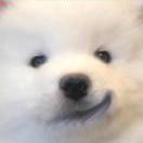 🐟 Aand&仙女🐺