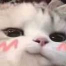 踩在浪花上～～～