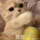 无火的余烬