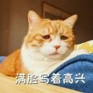 诗情