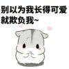 流水年华╯﹏╰
