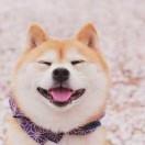 月明风清