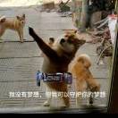 听完歌单就回家