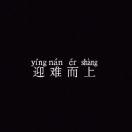 志