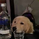 北城南笙。