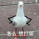 达咩哟~达咩达咩