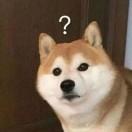 犬