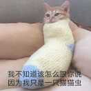 阿丫