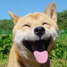 百变小钱