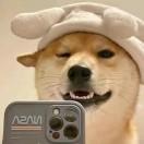 这个网名不错