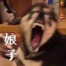 円້໌ᮨᮨ  ້໌ᮨᮨᮨᮨ
