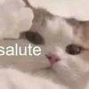 バラ