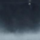 深海里的热带鱼